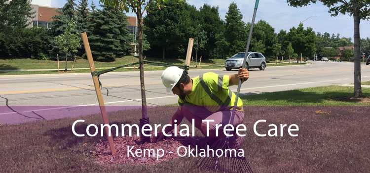 Commercial Tree Care Kemp - Oklahoma