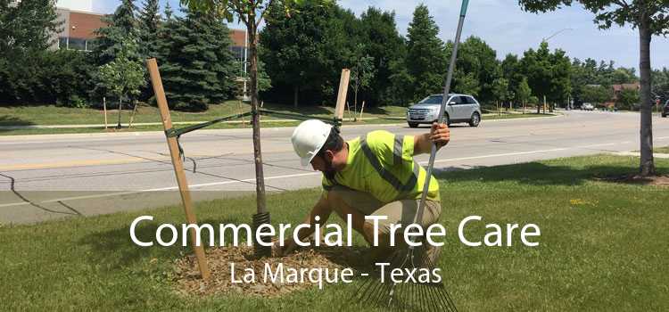 Commercial Tree Care La Marque - Texas