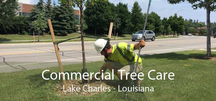 Commercial Tree Care Lake Charles - Louisiana