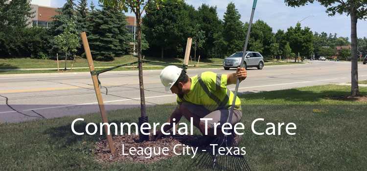 Commercial Tree Care League City - Texas