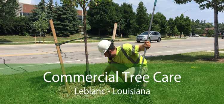 Commercial Tree Care Leblanc - Louisiana