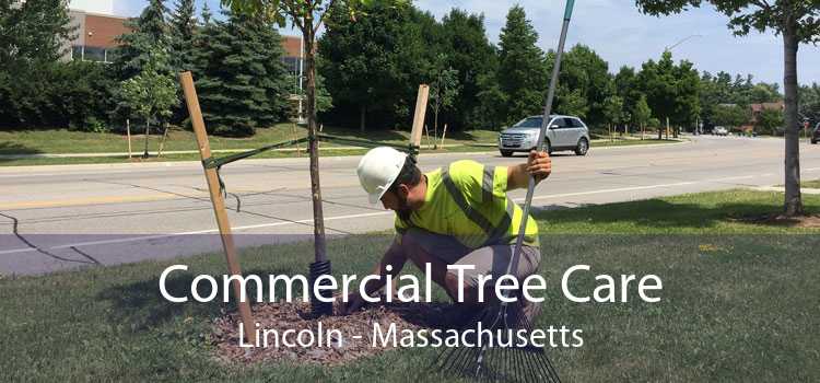 Commercial Tree Care Lincoln - Massachusetts