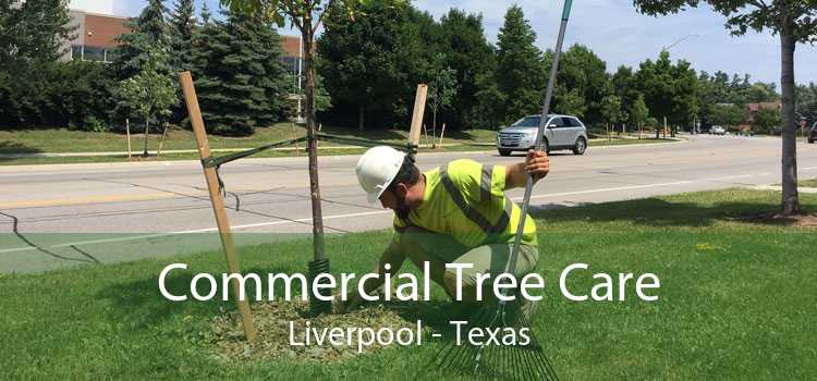 Commercial Tree Care Liverpool - Texas