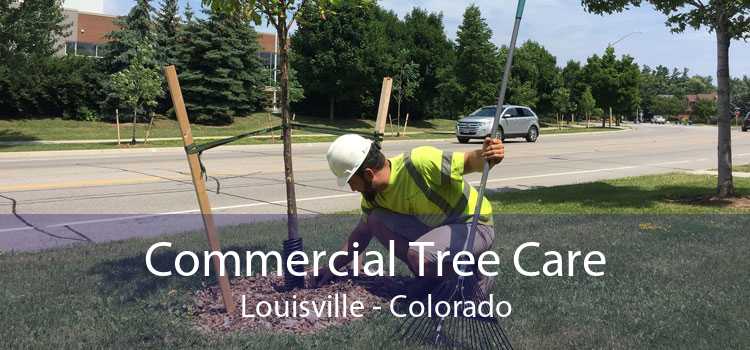 Commercial Tree Care Louisville - Colorado