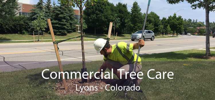 Commercial Tree Care Lyons - Colorado