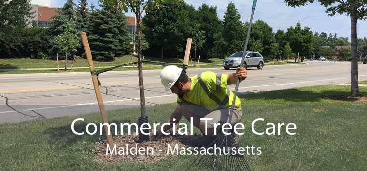 Commercial Tree Care Malden - Massachusetts