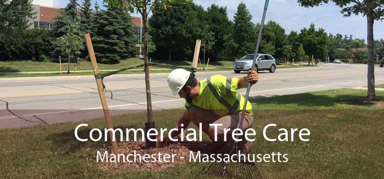 Commercial Tree Care Manchester - Massachusetts
