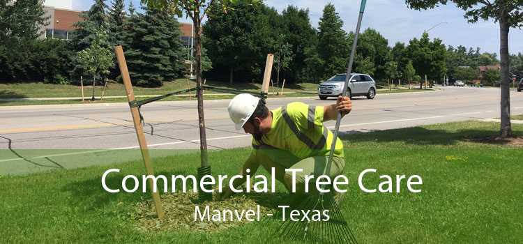 Commercial Tree Care Manvel - Texas