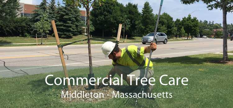 Commercial Tree Care Middleton - Massachusetts