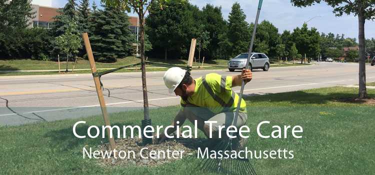 Commercial Tree Care Newton Center - Massachusetts