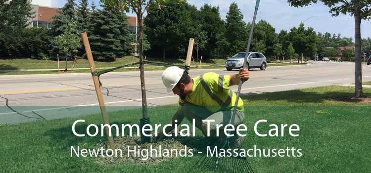 Commercial Tree Care Newton Highlands - Massachusetts