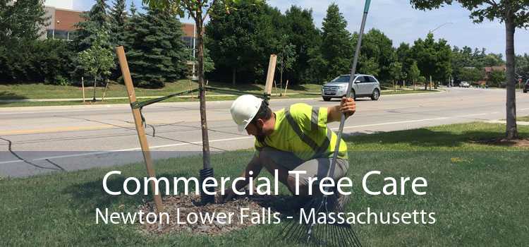 Commercial Tree Care Newton Lower Falls - Massachusetts