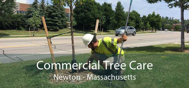 Commercial Tree Care Newton - Massachusetts