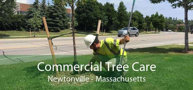 Commercial Tree Care Newtonville - Massachusetts