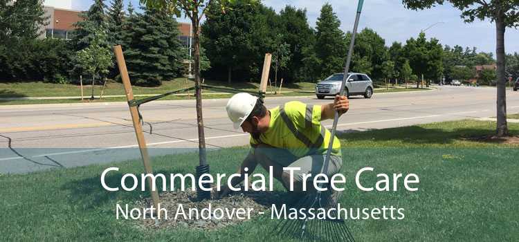 Commercial Tree Care North Andover - Massachusetts