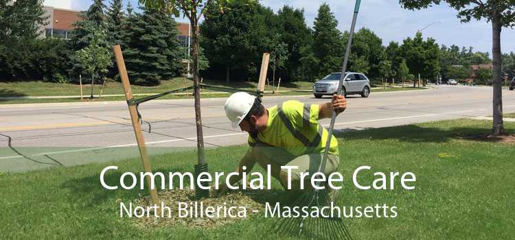 Commercial Tree Care North Billerica - Massachusetts
