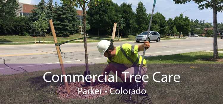 Commercial Tree Care Parker - Colorado