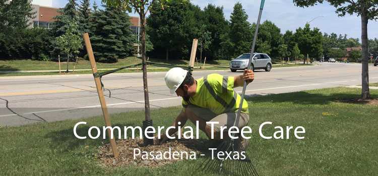 Commercial Tree Care Pasadena - Texas