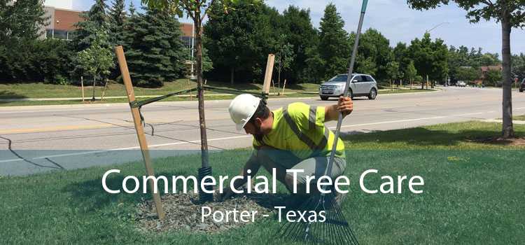Commercial Tree Care Porter - Texas