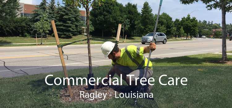 Commercial Tree Care Ragley - Louisiana