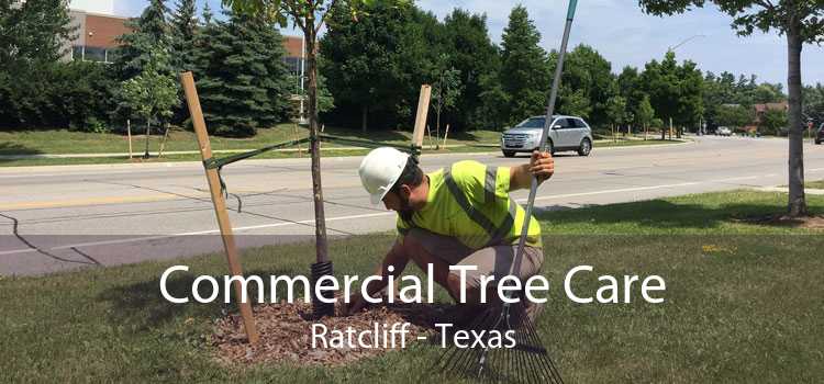 Commercial Tree Care Ratcliff - Texas