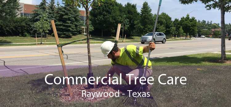 Commercial Tree Care Raywood - Texas