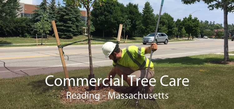 Commercial Tree Care Reading - Massachusetts