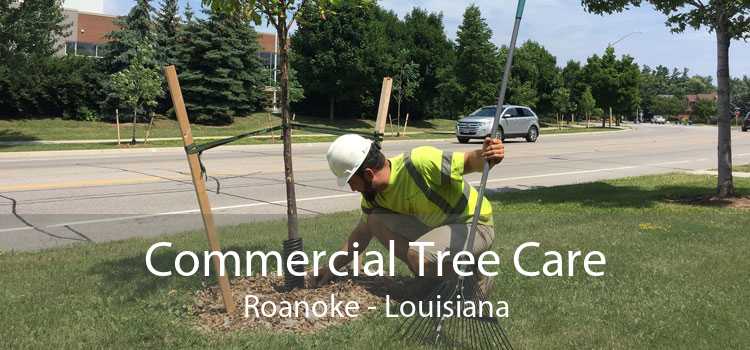Commercial Tree Care Roanoke - Louisiana