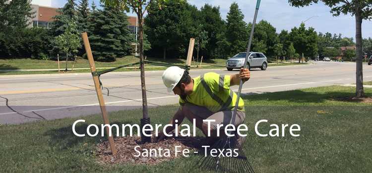 Commercial Tree Care Santa Fe - Texas