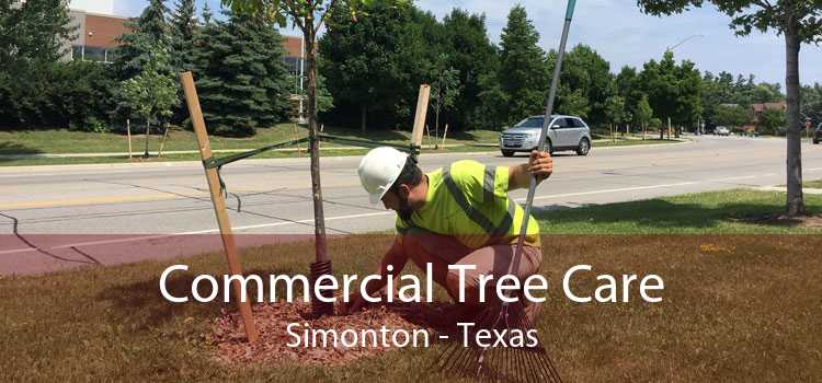 Commercial Tree Care Simonton - Texas