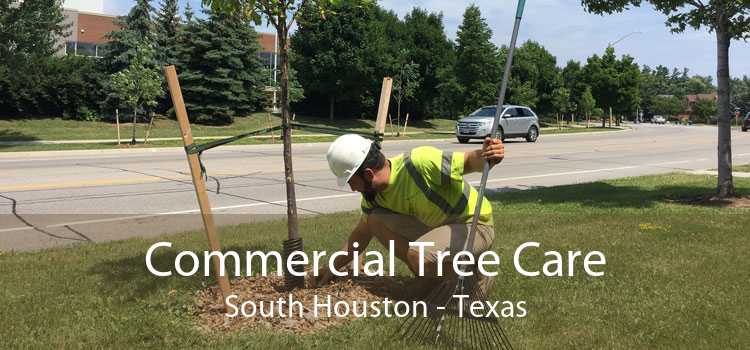 Commercial Tree Care South Houston - Texas