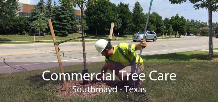 Commercial Tree Care Southmayd - Texas