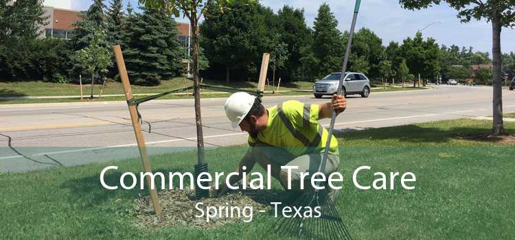 Commercial Tree Care Spring - Texas