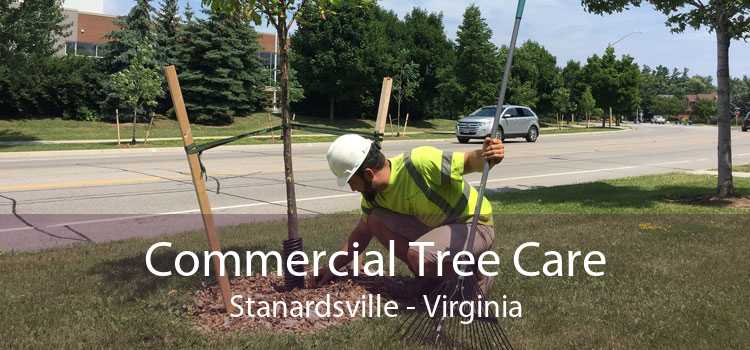 Commercial Tree Care Stanardsville - Virginia