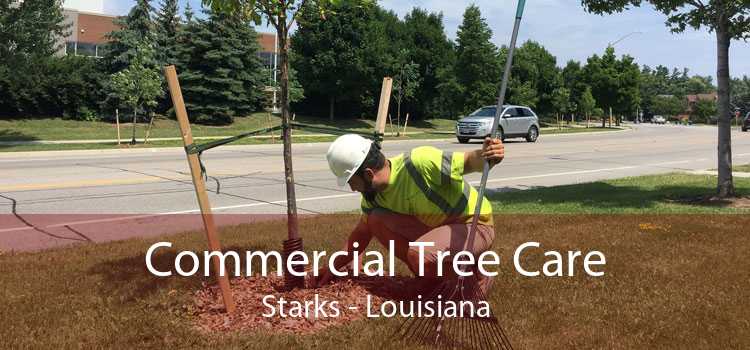 Commercial Tree Care Starks - Louisiana