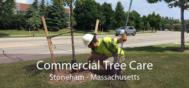 Commercial Tree Care Stoneham - Massachusetts