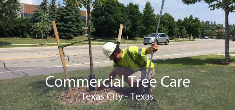 Commercial Tree Care Texas City - Texas