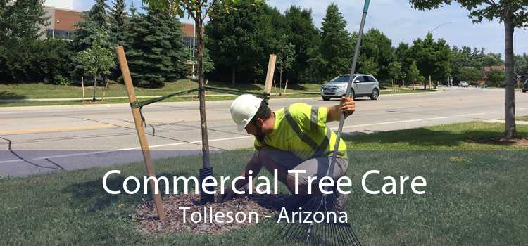 Commercial Tree Care Tolleson - Arizona