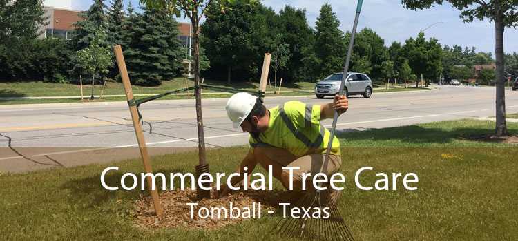 Commercial Tree Care Tomball - Texas