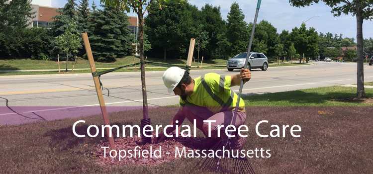 Commercial Tree Care Topsfield - Massachusetts