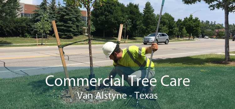 Commercial Tree Care Van Alstyne - Texas