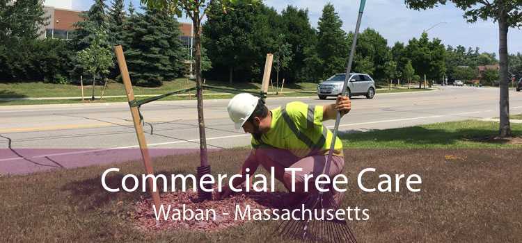Commercial Tree Care Waban - Massachusetts