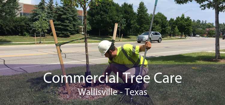 Commercial Tree Care Wallisville - Texas