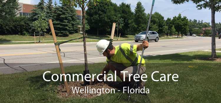 Commercial Tree Care Wellington - Florida
