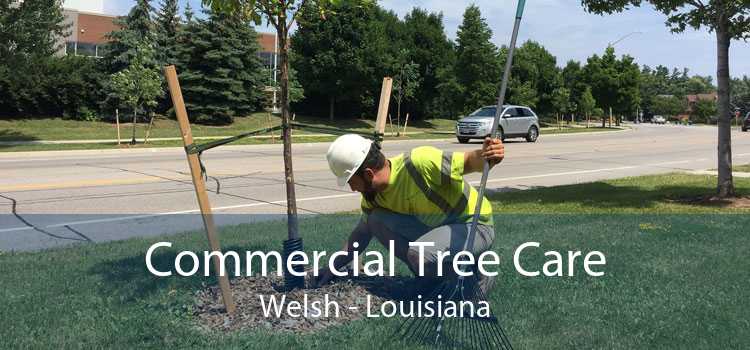 Commercial Tree Care Welsh - Louisiana
