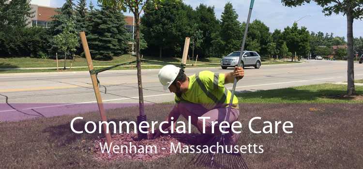 Commercial Tree Care Wenham - Massachusetts