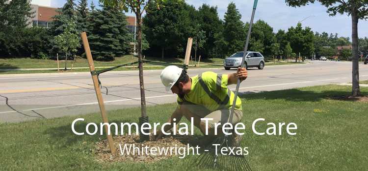 Commercial Tree Care Whitewright - Texas