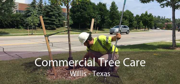 Commercial Tree Care Willis - Texas