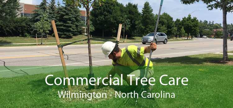 Commercial Tree Care Wilmington - North Carolina