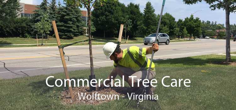 Commercial Tree Care Wolftown - Virginia